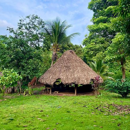 Teiku Cabanas 埃尔扎伊诺 外观 照片